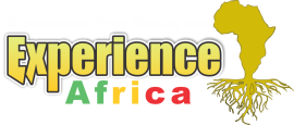 Experience Africa