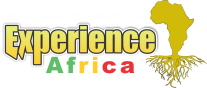 Experience Africa